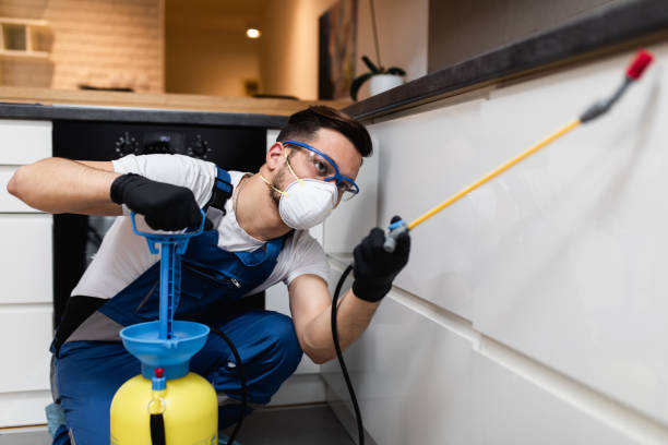 Best Residential Pest Control  in Capitol Heights, MD