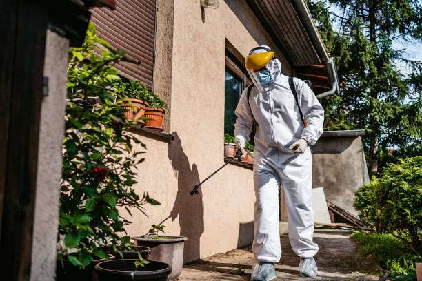 Best Affordable Pest Control Services  in Capitol Heights, MD