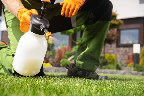 Best Commercial Pest Control Services  in Capitol Heights, MD