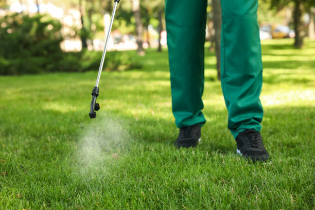 Best Pest Prevention Services  in Capitol Heights, MD