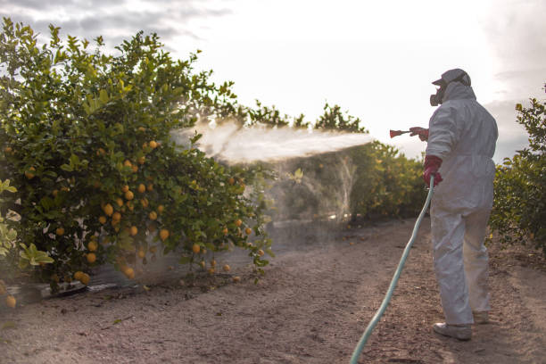 Best Pest Control Near Me  in Capitol Heights, MD