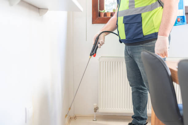 Best Flea Control Services  in Capitol Heights, MD