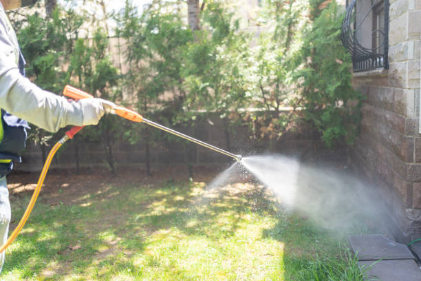 Best Termite Control Services  in Capitol Heights, MD