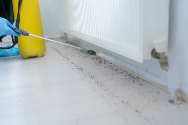  Capitol Heights, MD Pest Control Pros